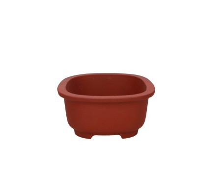 Pot 24.5