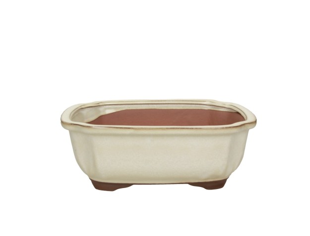 Vaso 26.7 cm