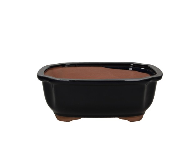 Vaso 26,7 cm