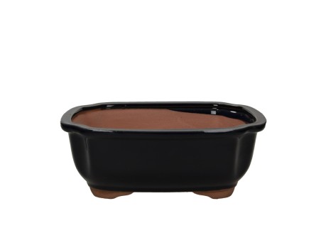 Vaso 26,7 cm