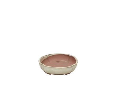 Vaso 21 cm