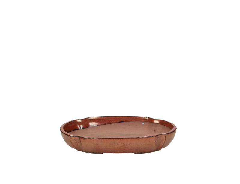 Pot 21 cm