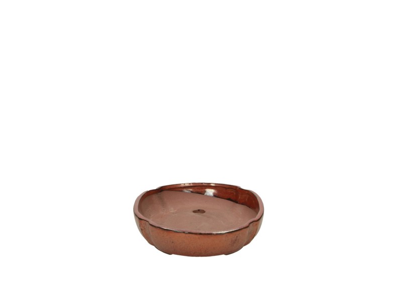 Pot 21 cm