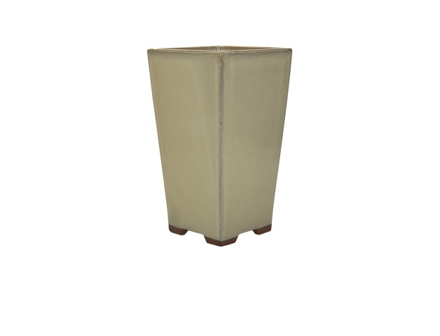 Pot 11.8 cm 2
