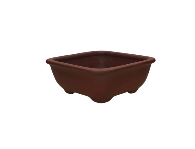 Pot Shuiming 24.5 cm 2