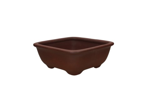 Vaso Shuiming 24.5 cm