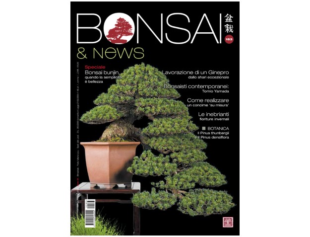 BONSAI & news 183 - Janvier-février 2021