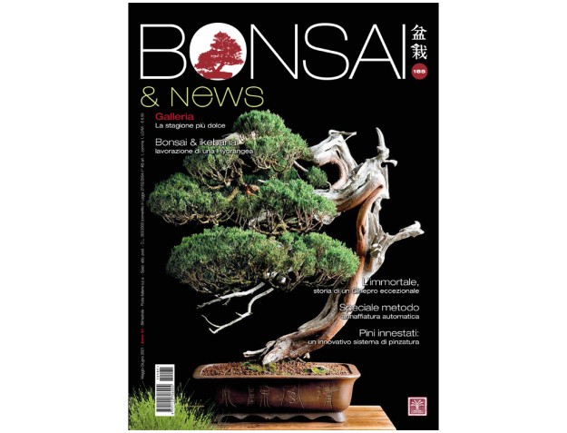 BONSAI & news 185 - May-June 2021