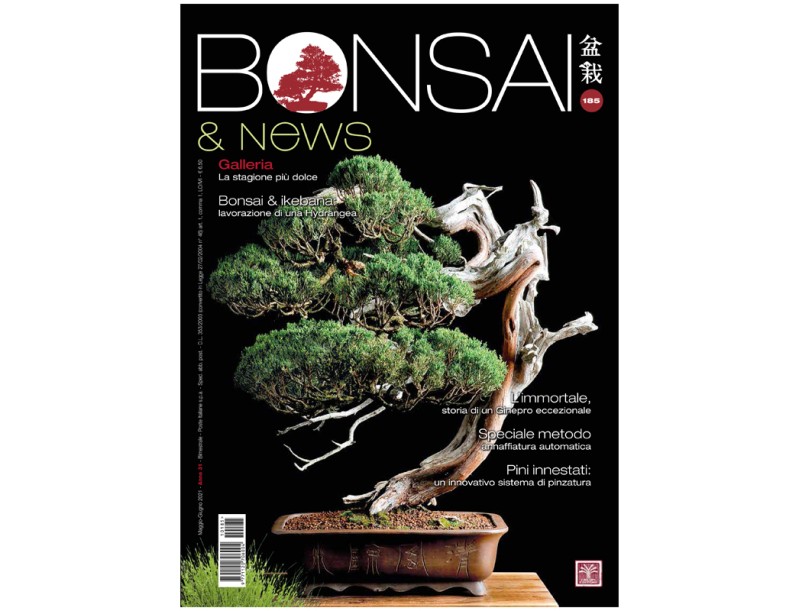 BONSAI & news 185 - Maggio-Giugno 2021