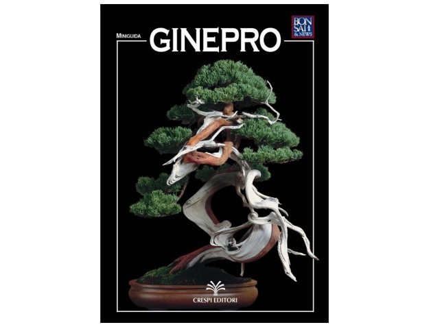 Juniper – BONSAI Mini-Guide & News
