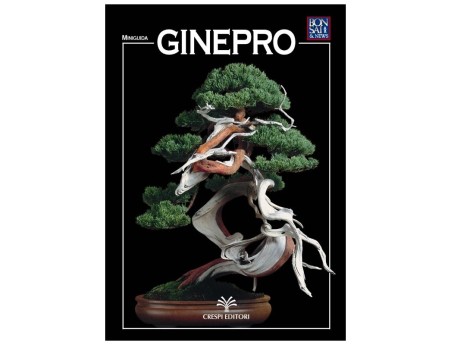 Juniper – BONSAI Mini-Guide & News