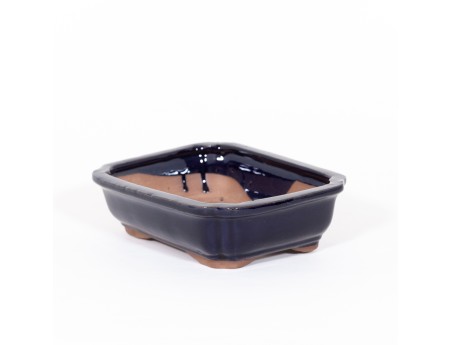 Pot 21 cm