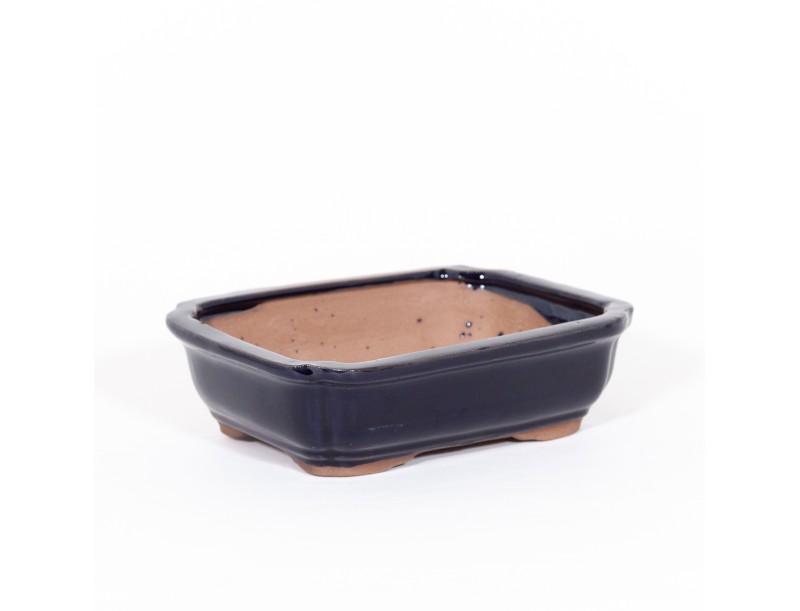 Vaso 21 cm