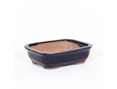 Pot 21 cm