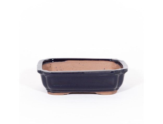 Pot 21 cm