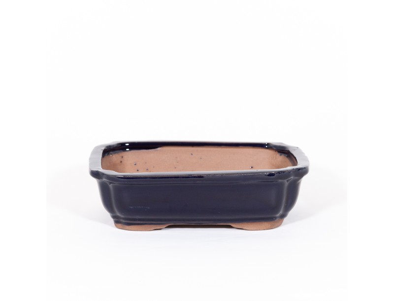 Pot 21 cm