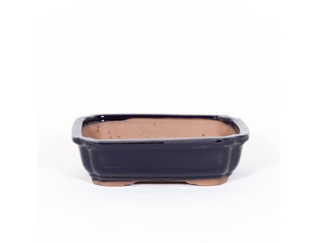 Pot 21 cm