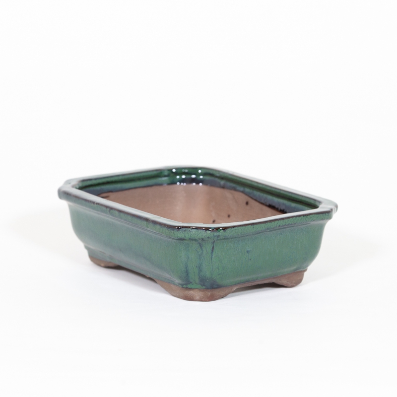 Pot 21 cm