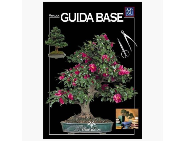 Guida Base - Miniguida BONSAI & news