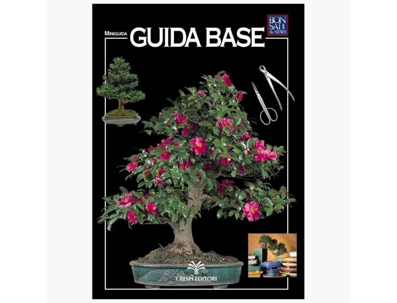 Guida Base - Miniguida BONSAI & news