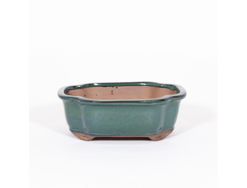 Pot 21 cm
