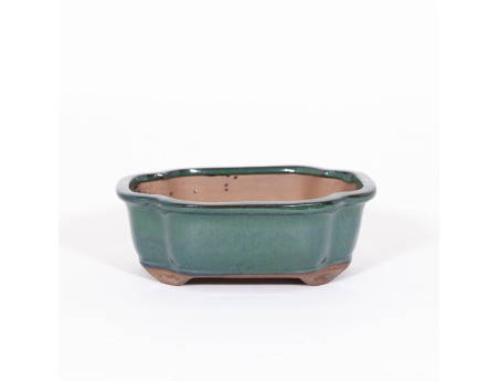 Pot 21 cm