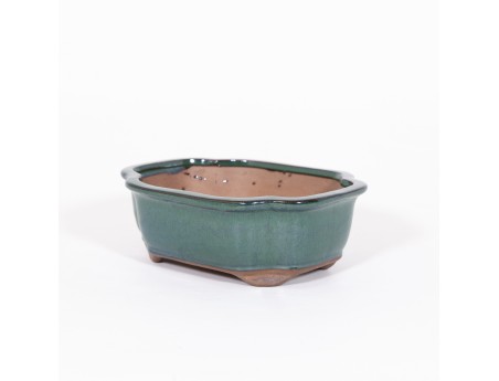 Vaso 21 cm