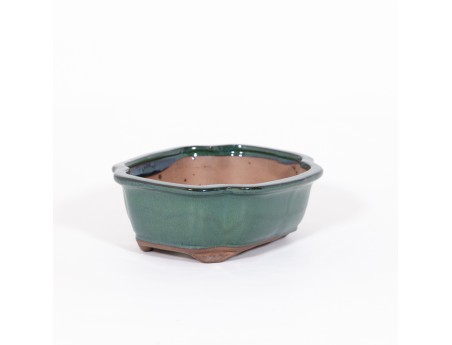 Vaso 21 cm
