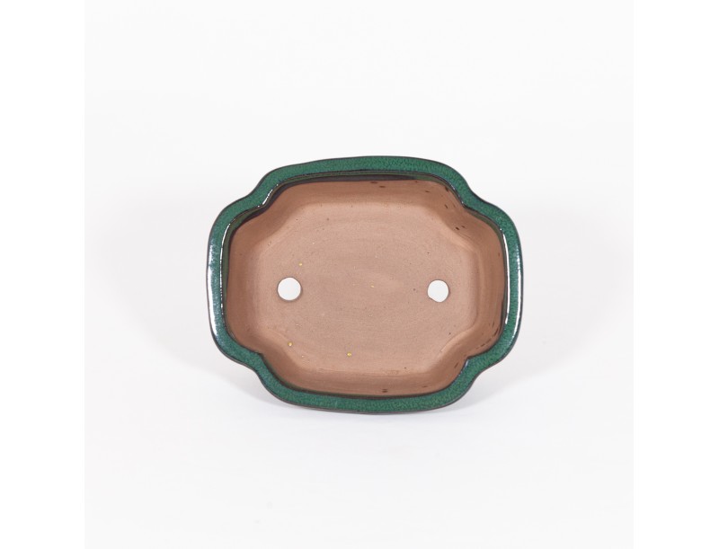 Pot 21 cm