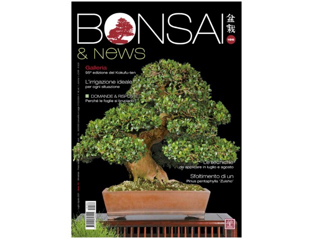 BONSAI & news 186 - July-August 2021