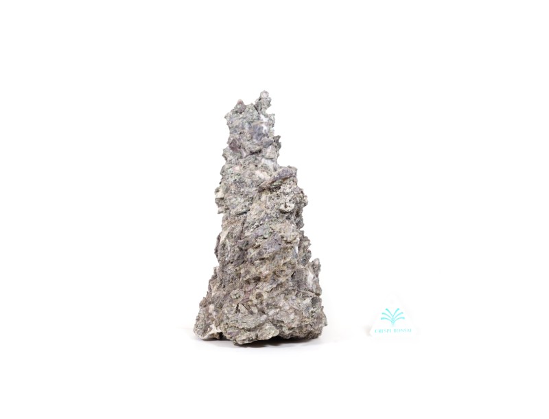 Roher Ibigawa - H 26,5 cm