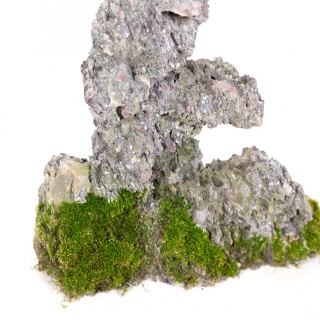 Roccia Ibigawa - H 25 cm