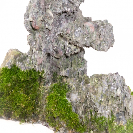 Roche Ibigawa - H 25 cm