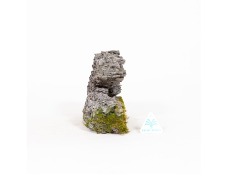Ibigawa rock - H 17,5 cm