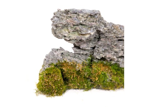Roche Ibigawa - H 17,5 cm