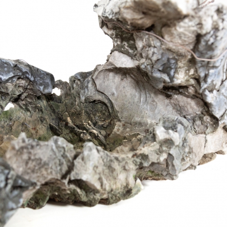 Roccia Ibigawa - H 28 cm