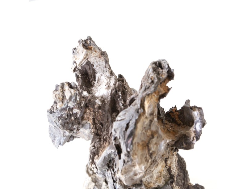 Roccia Ibigawa - H 33 cm