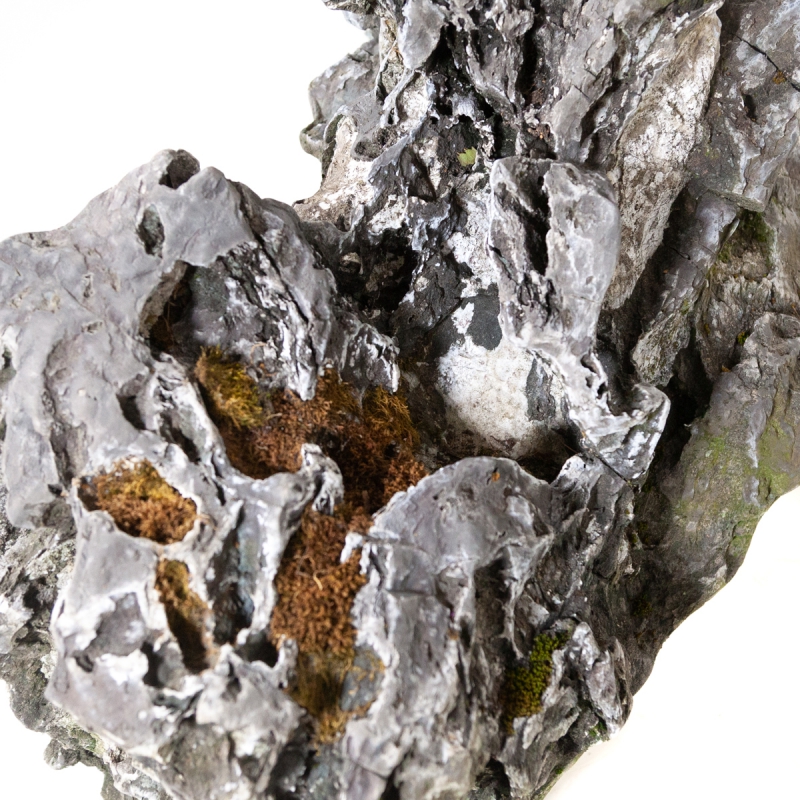 Roccia Ibigawa - H 34 cm