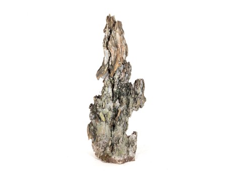 Ibigawa rock - H 79 cm
