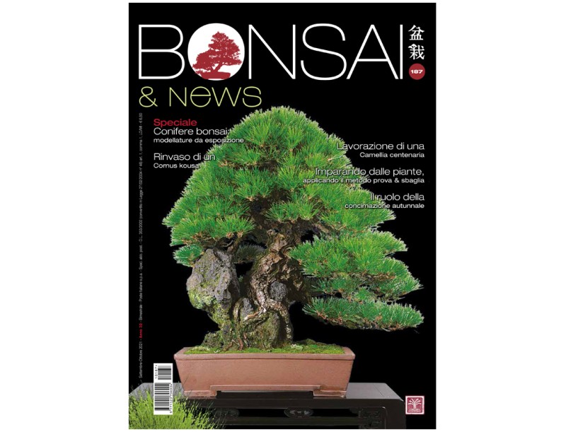 BONSAI & news 187 - September-October 2021