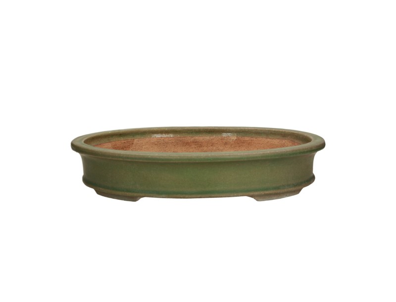 Tokoname - Hattori - 36,5 cm, ovalada, verde