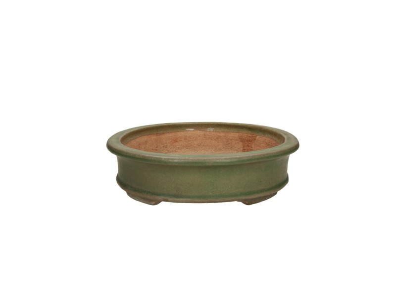 Tokoname – Hattori – 36,5 cm, oval, grün