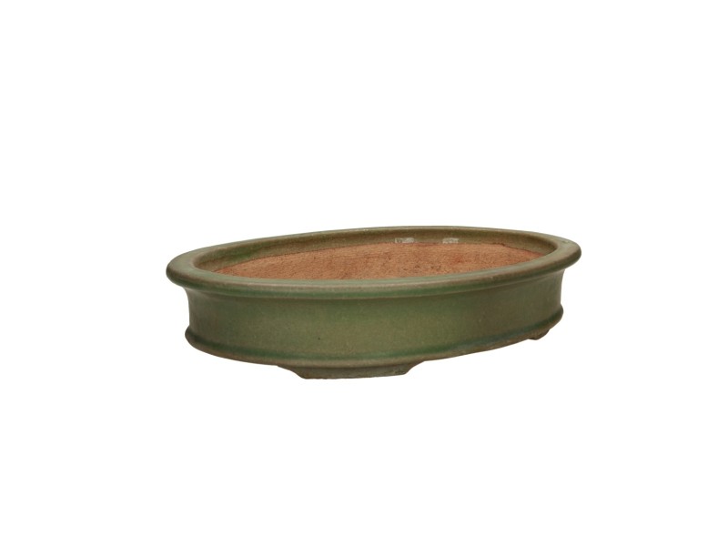 Tokoname - Hattori - 36,5 cm, ovalada, verde