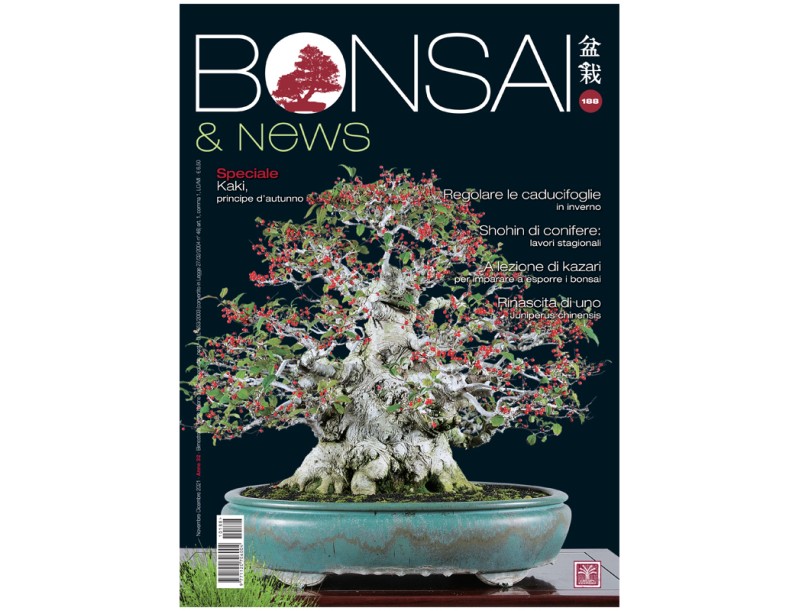 BONSAI & news 188 - Novembre-Decembre 2021