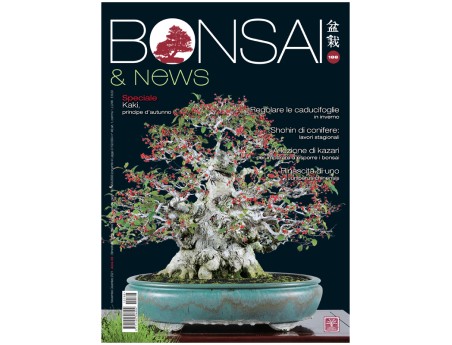 BONSAI & news 188 - November-December 2021