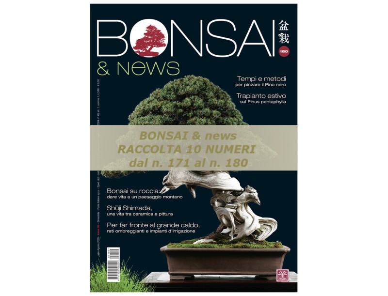 Raccolta BONSAI & news dal 171 al 180