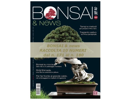BONSAI & news Collection - from 171 to 180