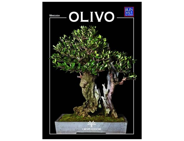 Olivo - Miniguida BONSAI & news