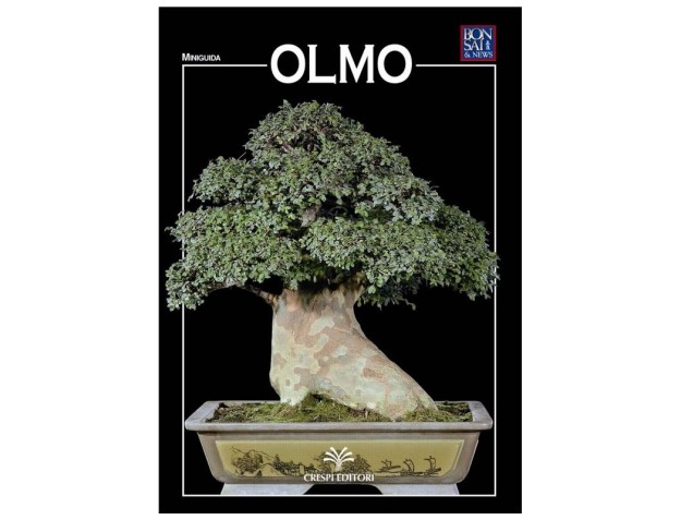 Olmo - Miniguida BONSAI & news