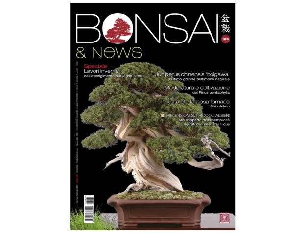 BONSAI & news 189 - January-February 2022